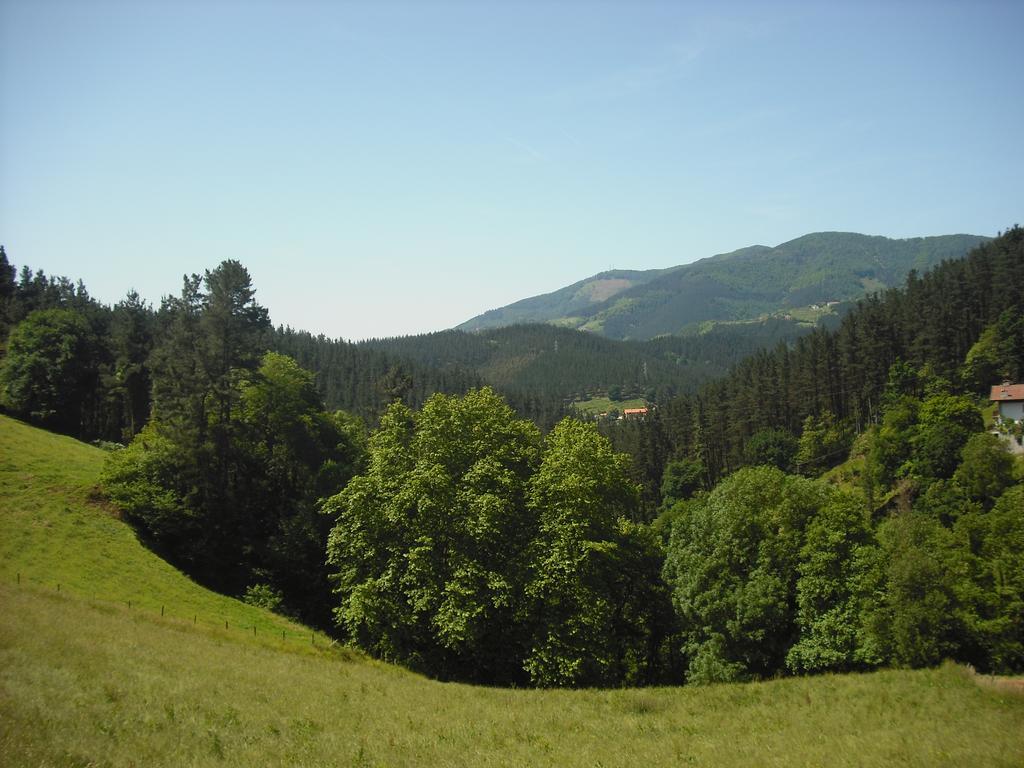 Casa Rural Zulueta Azcoitia Buitenkant foto